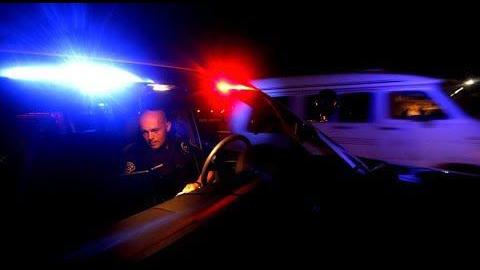 Video: Police immigration checks plunge